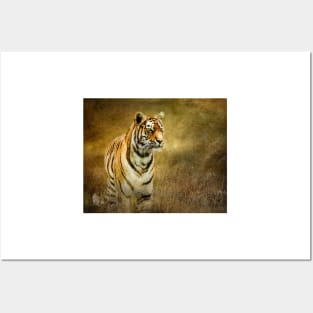 Tiger in the grass Posters and Art
